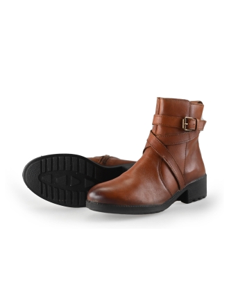 Nelson Stiefel