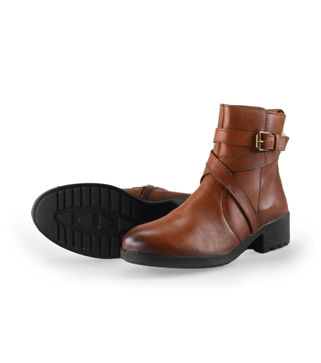 Nelson Stiefel