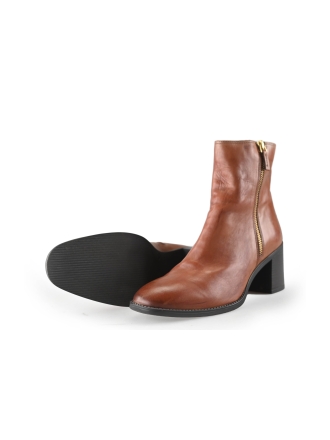 Nelson Stiefel