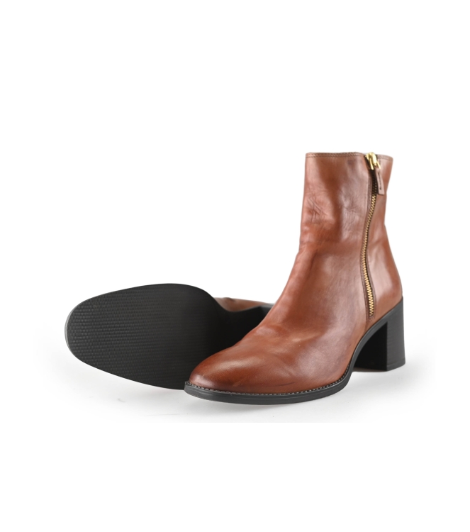 Nelson Stiefel