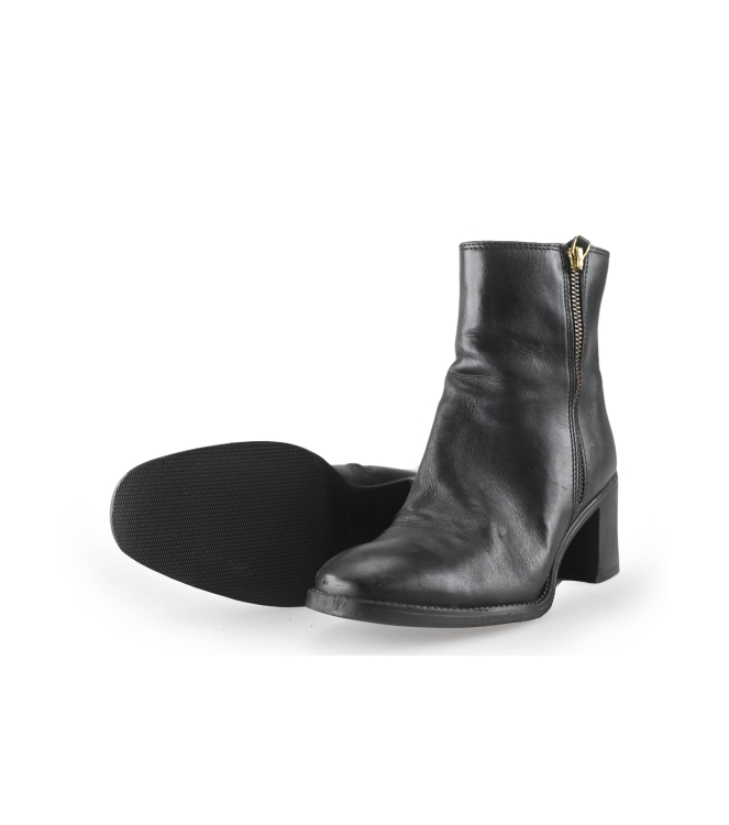 Nelson Stiefel