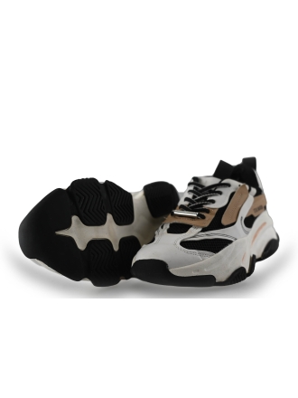 Steve Madden Sneaker