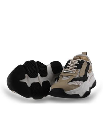 Steve Madden Sneaker
