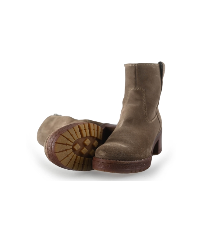 Nelson Stiefel