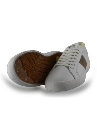 Scotch Soda Sneaker