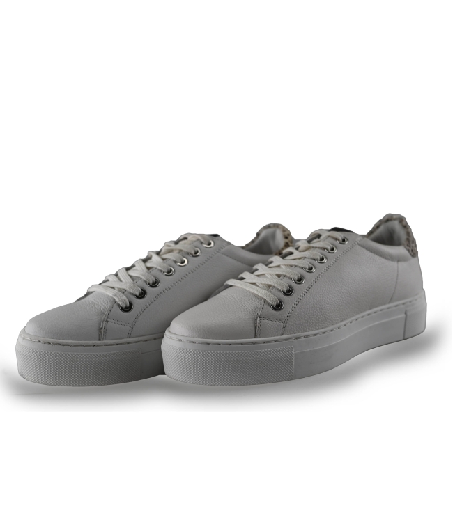 Maruti Sneaker