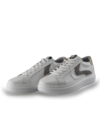 Maruti Sneaker Beige 249194