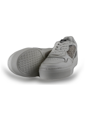 Maruti Sneaker