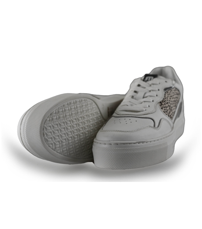 Maruti Sneaker