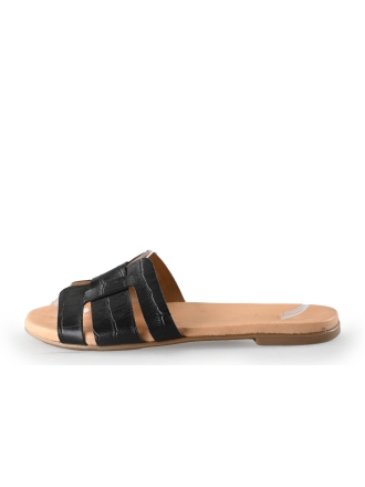 Notrev Flip-Flops