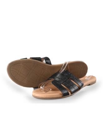 Notrev Flip-Flops