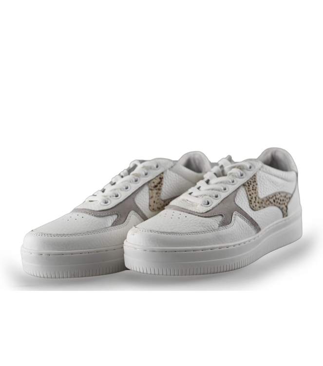 Maruti Sneaker