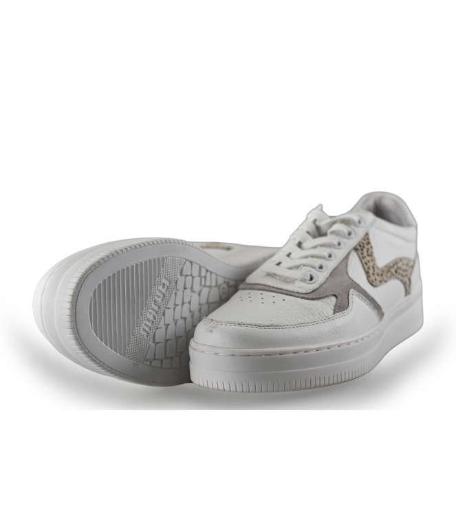 Maruti Sneaker