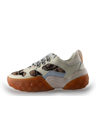 Scotch & Soda Sneaker Rosa 249979