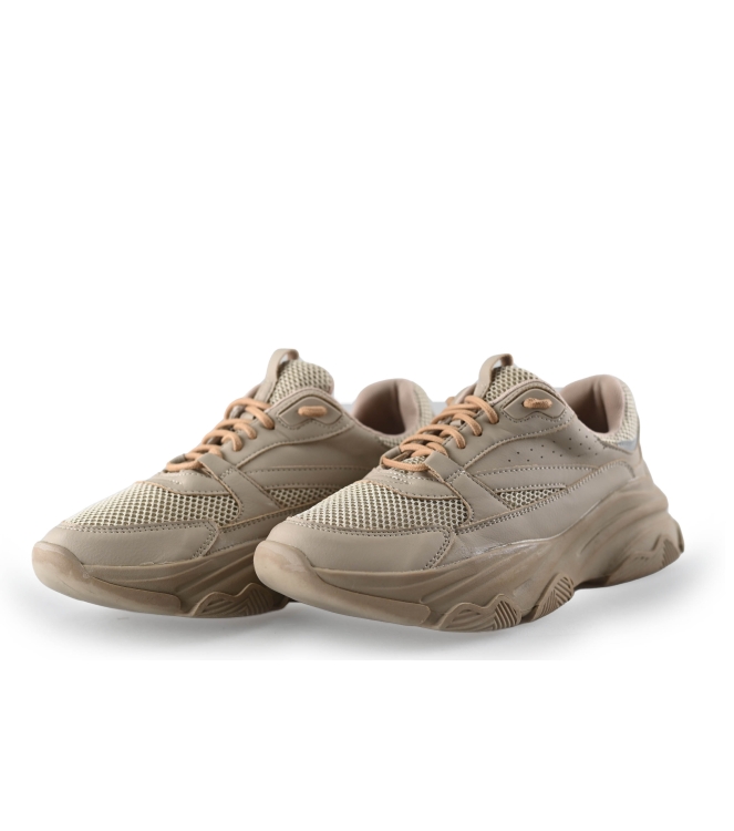Sacha Sneaker