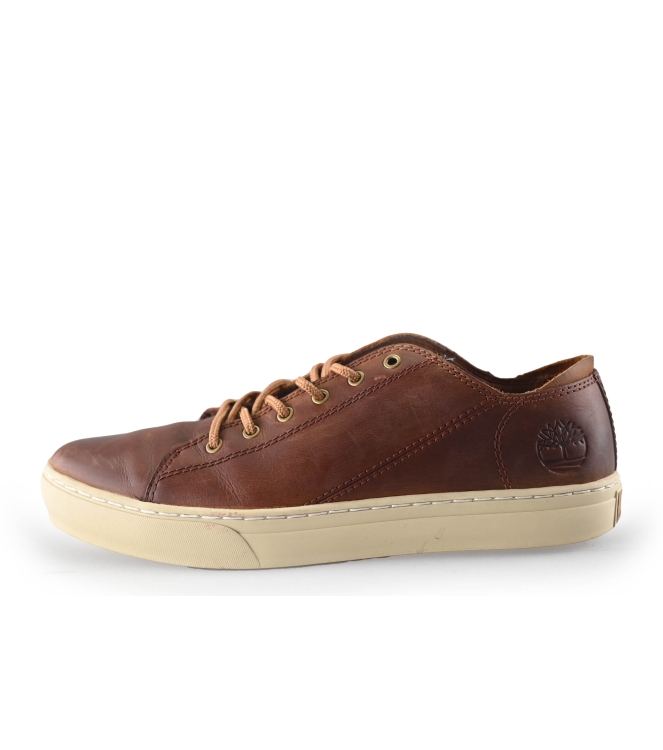 Timberland Sneaker