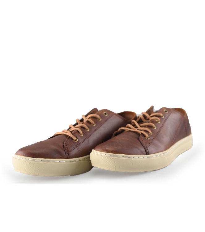 Timberland Sneaker