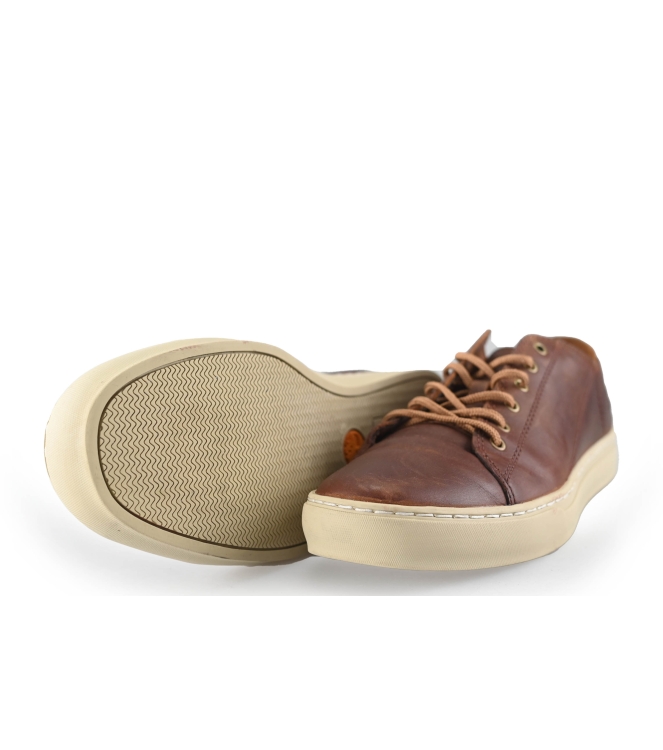 Timberland Sneaker