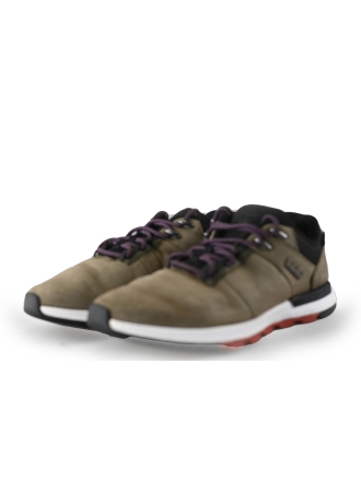 Timberland Sneaker Grün 250938