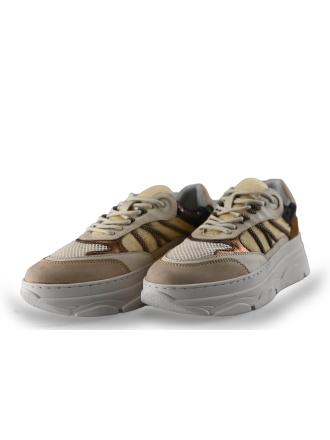 Nelson Sneaker Beige 250081