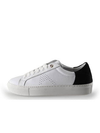 Manfield Sneaker 250222