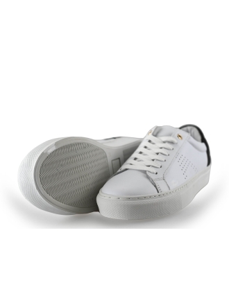 Manfield Sneaker