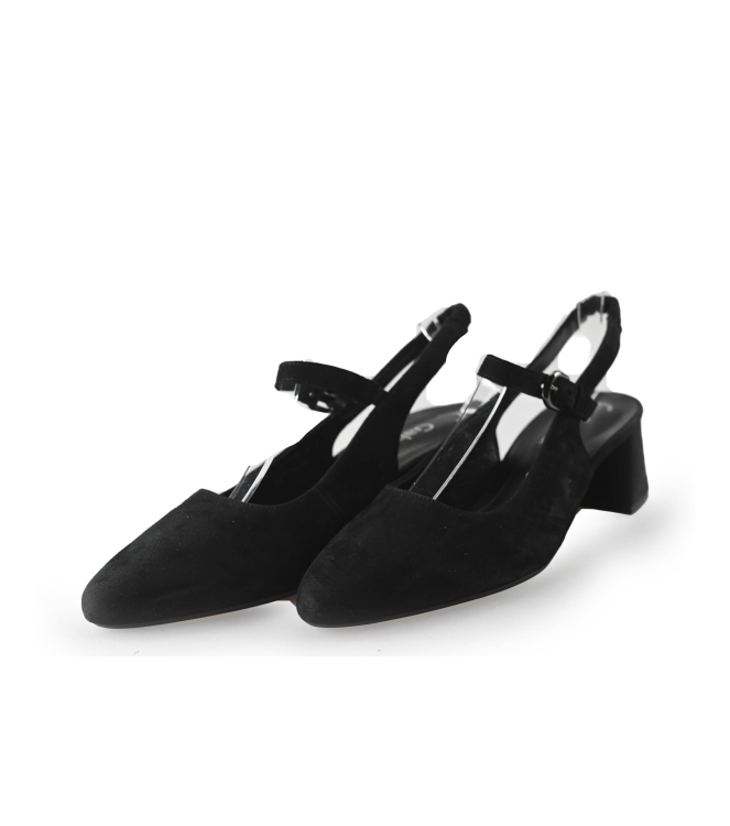 Gabor pumps