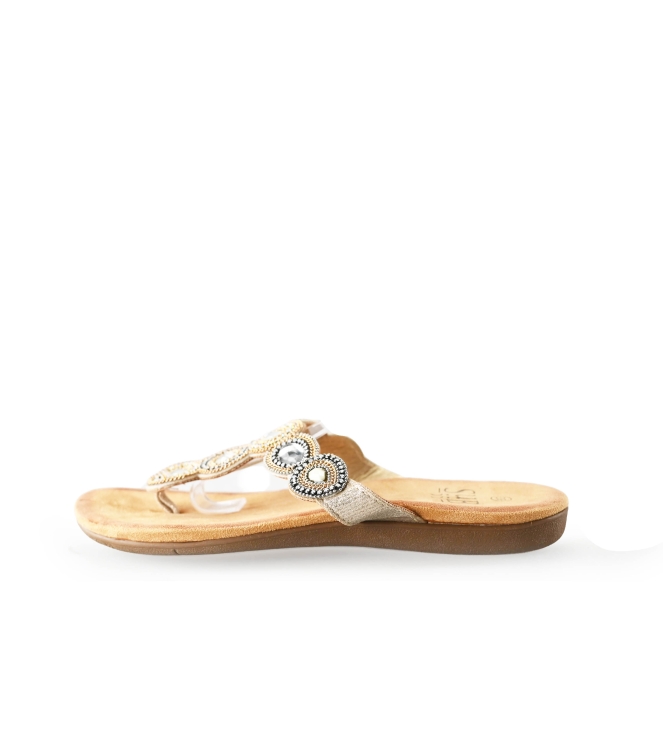 Sub55 Flip-Flops