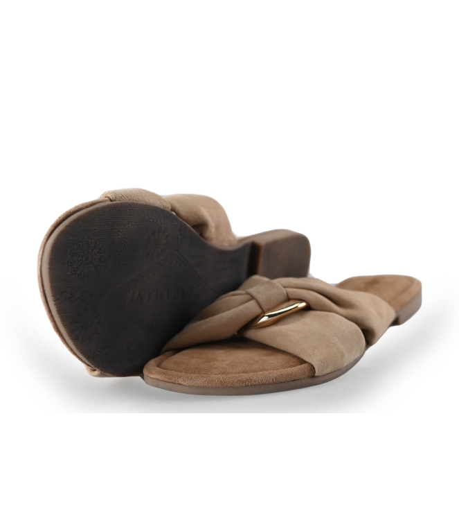 Lazamani Flip-Flops