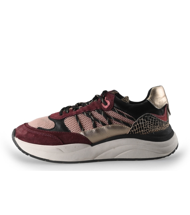 Loff 1881 Sneaker
