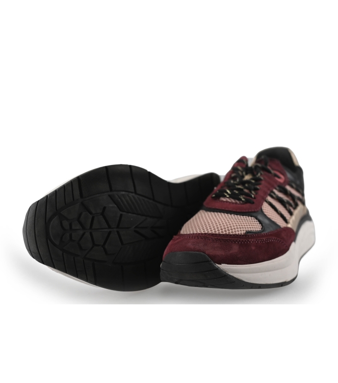 Loff 1881 Sneaker