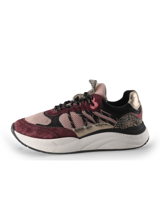 Sub55 Sneaker Lila 250661