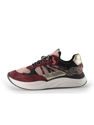 Poelman Sneaker Rot 250666
