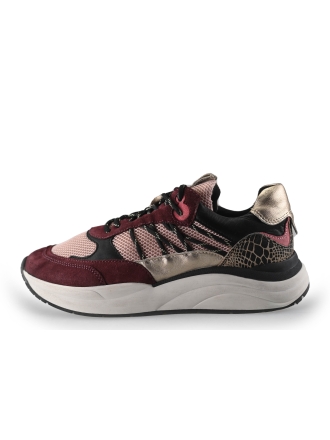 Sub55 Sneaker Lila 250699