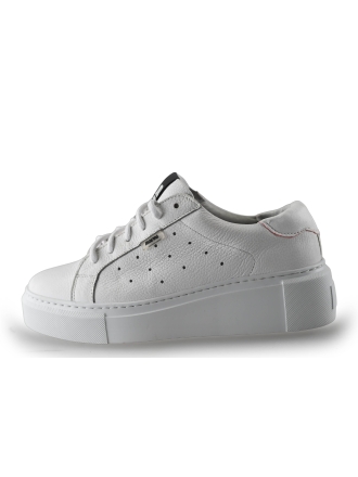 Maruti Sneaker