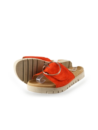 Gabor Flip-Flops
