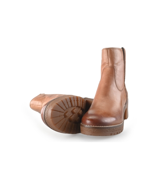 Nelson Stiefel