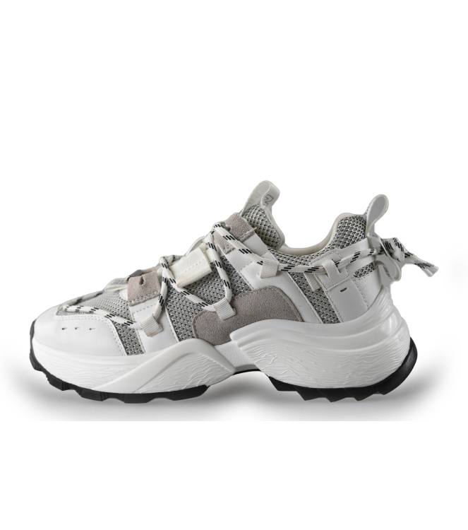 Steve Madden Sneaker