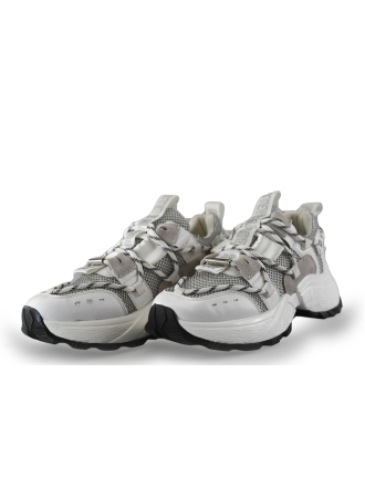 Steve Madden Sneaker