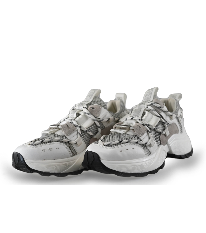 Steve Madden Sneaker