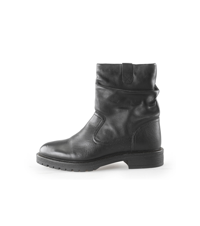 Nelson Stiefel