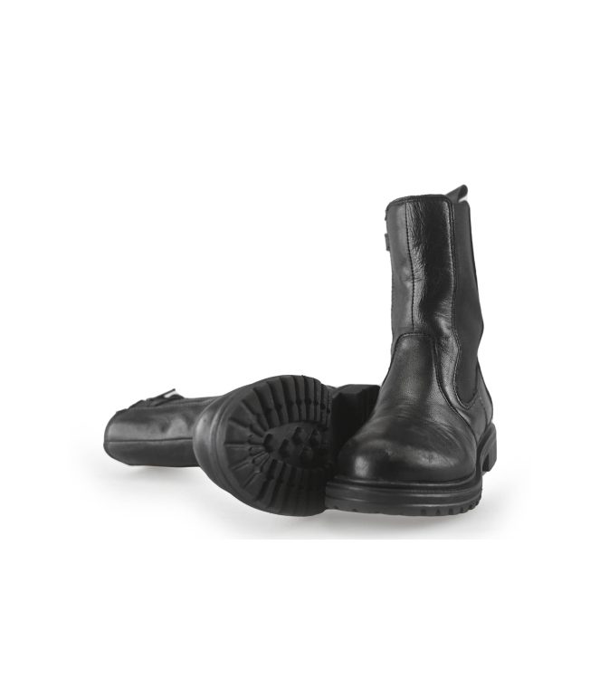 Nelson Stiefel