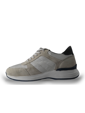 Campbell Sneaker