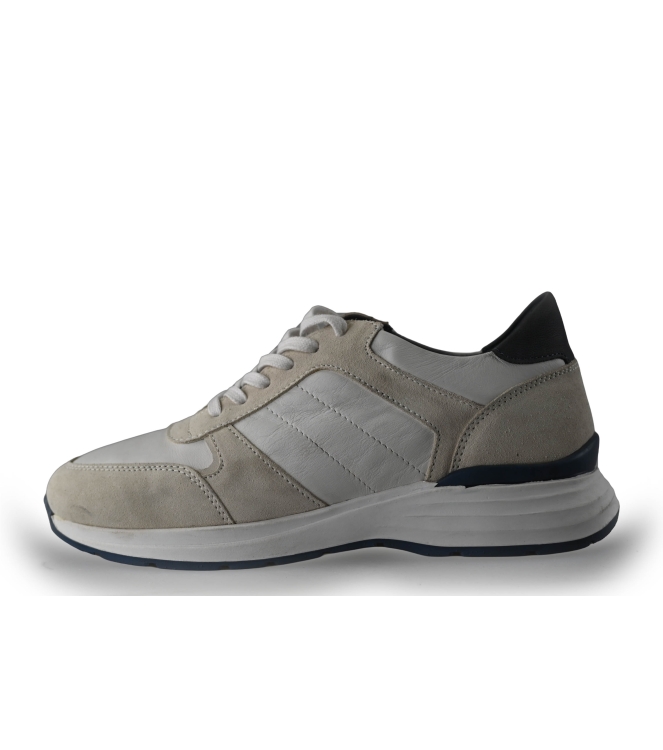 Campbell Sneaker