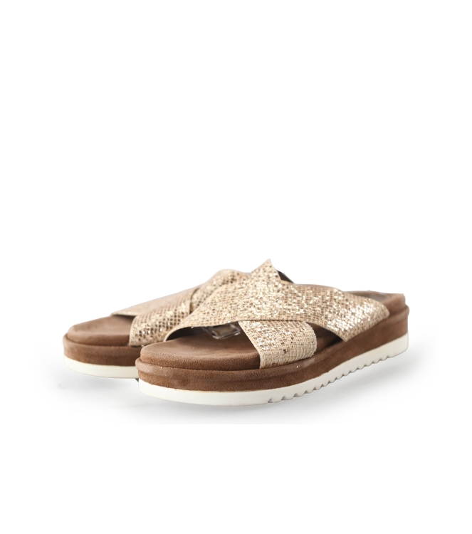 Lazamani Flip-Flops