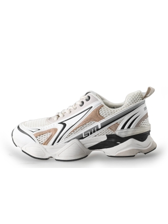 Steve Madden Sneaker