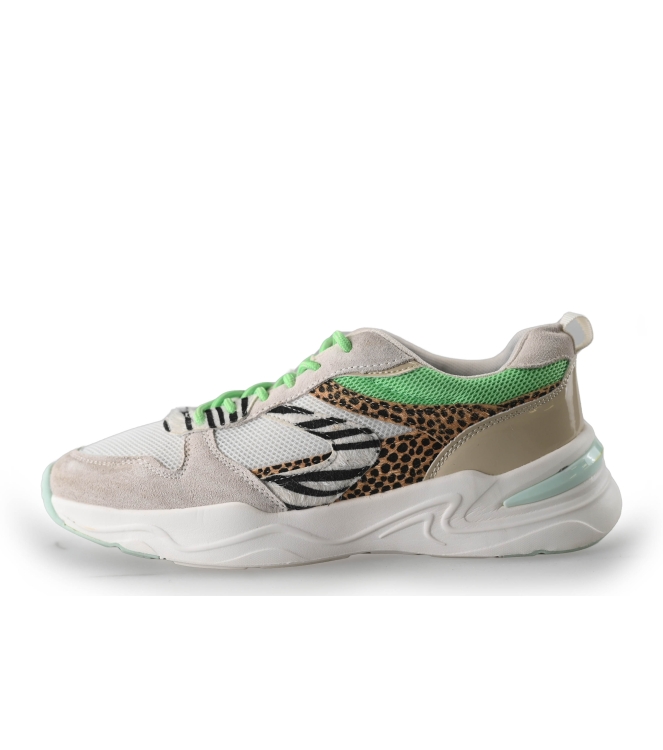 Dolcis Sneaker