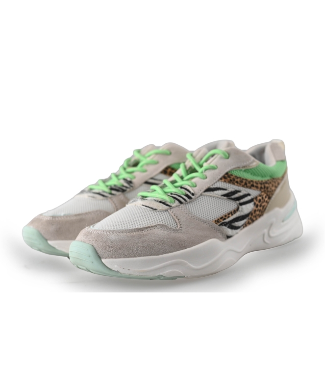 Dolcis Sneaker