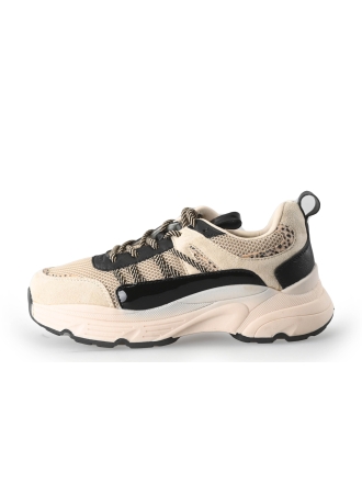 Nelson Sneaker Beige 264225
