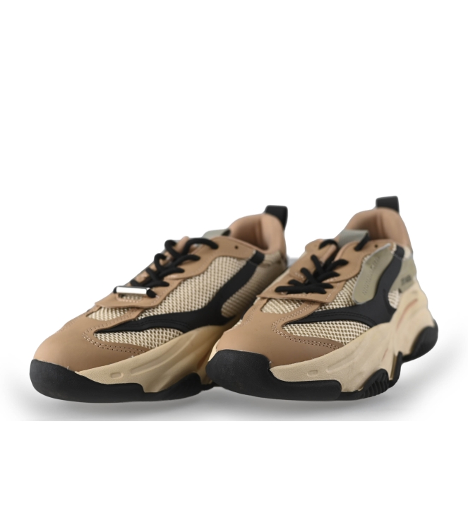 Steve Madden Sneaker